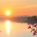 Daily Affirmations for New Beginnings: Start Fresh Today