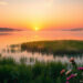 Daily Affirmations for Achieving Peace of Mind