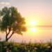Daily Affirmations for Spiritual Growth: Enhance Your Journey