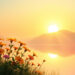 Morning Affirmations for Boosting Positive Energy Daily