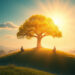 Signs You're Raising Your Consciousness: Key Indicators Explained